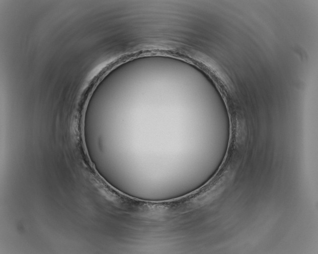 X0000112480878200908171217