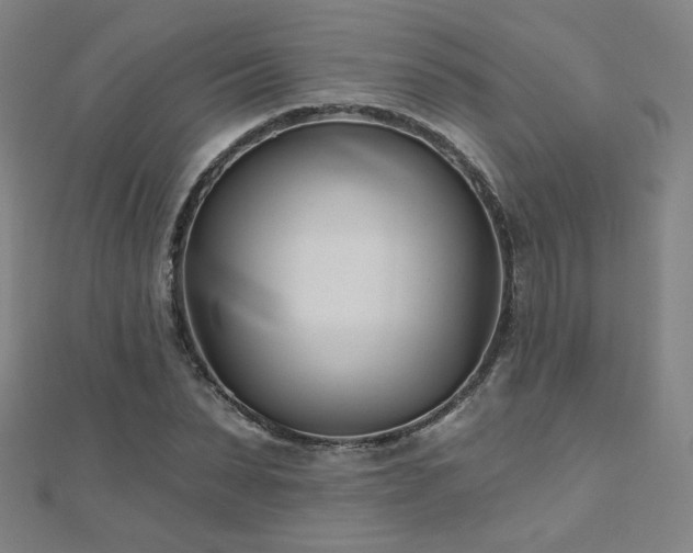 X0000112480879200908171217