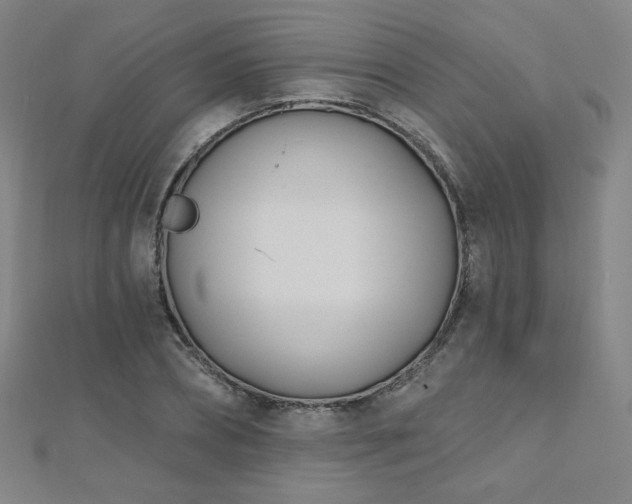 X0000112480882200908171217