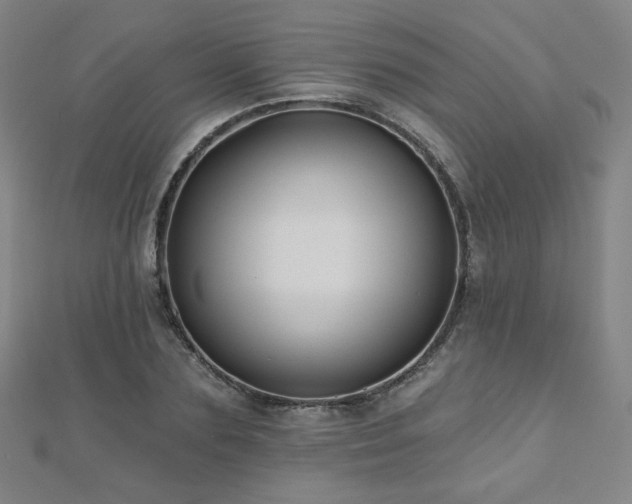 X0000112480883200908171217