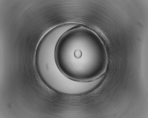 X0000112480884200908171217
