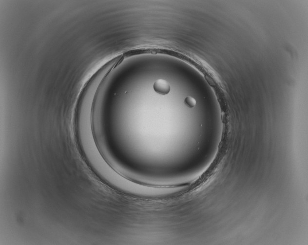 X0000112480885200908171217