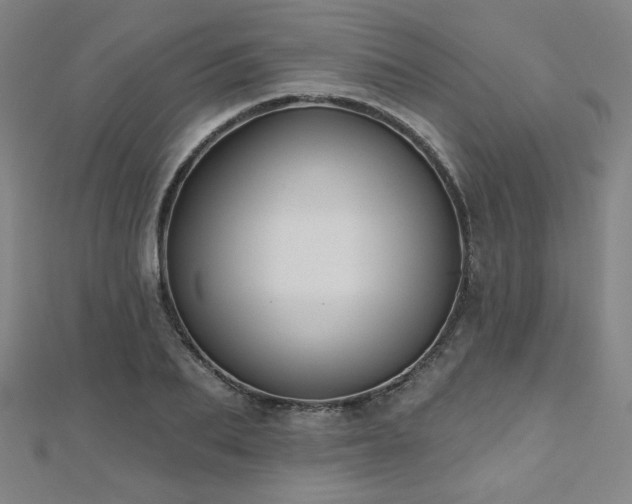 X0000112480887200908171217