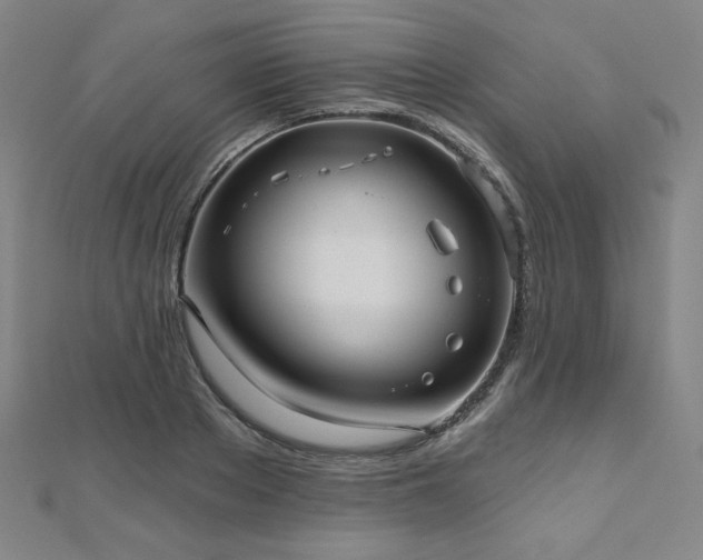 X0000112480889200908171217