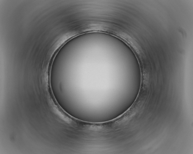 X0000112480890200908171217
