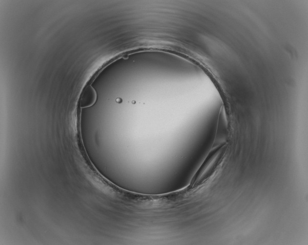 X0000112480891200908171217