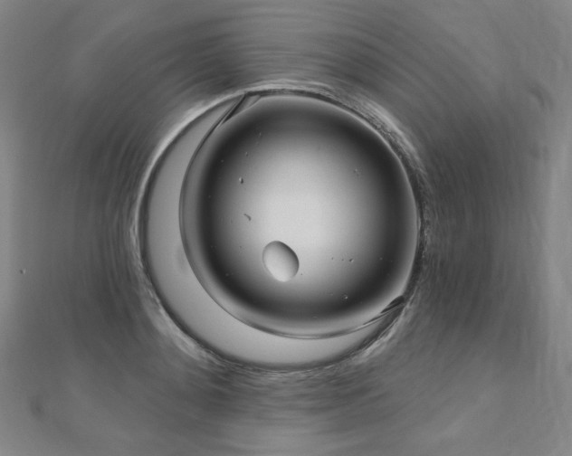 X0000112480892200908171217