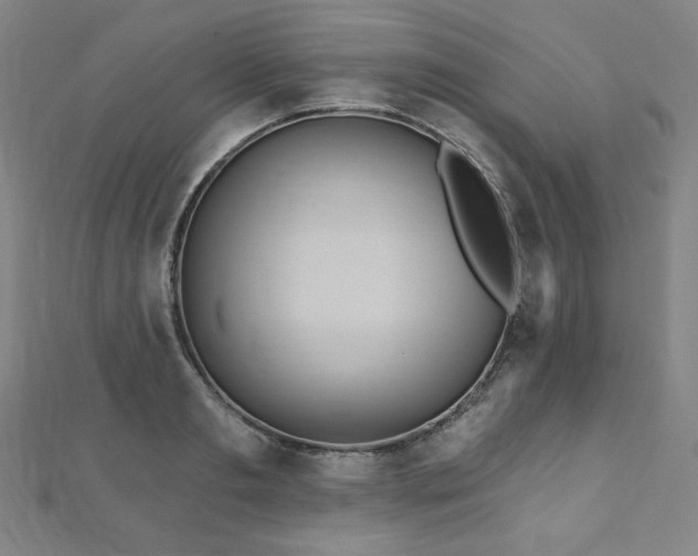 X0000112480893200908171217