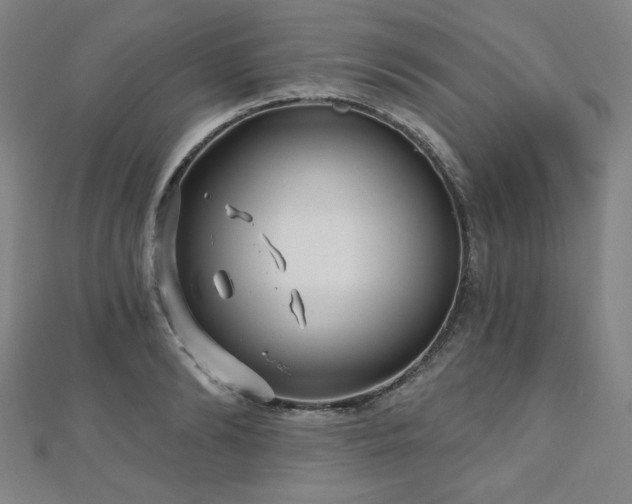 X0000112480894200908171217