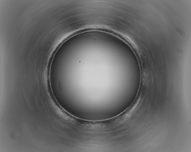 X0000112480895200908171217