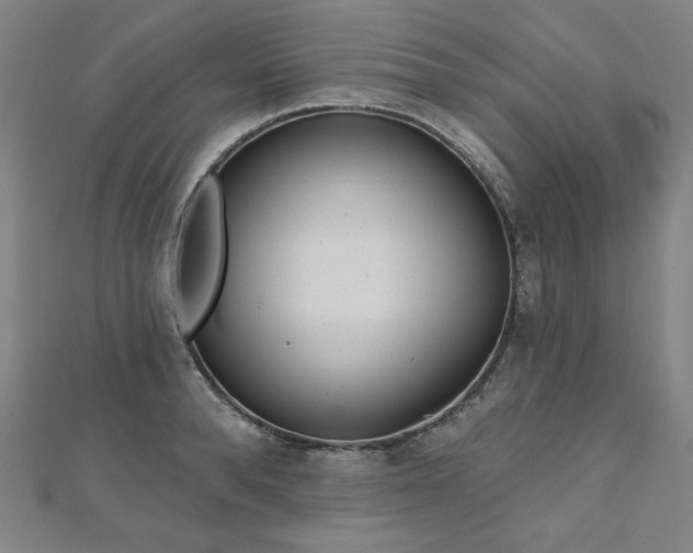 X0000112480896200908171217