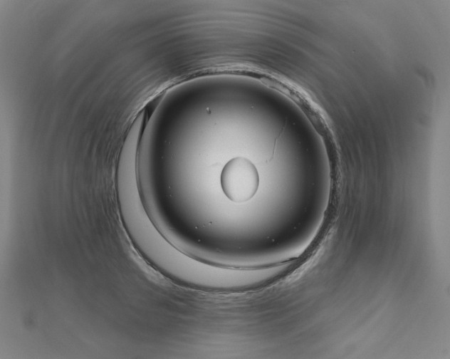 X0000112480897200908171217