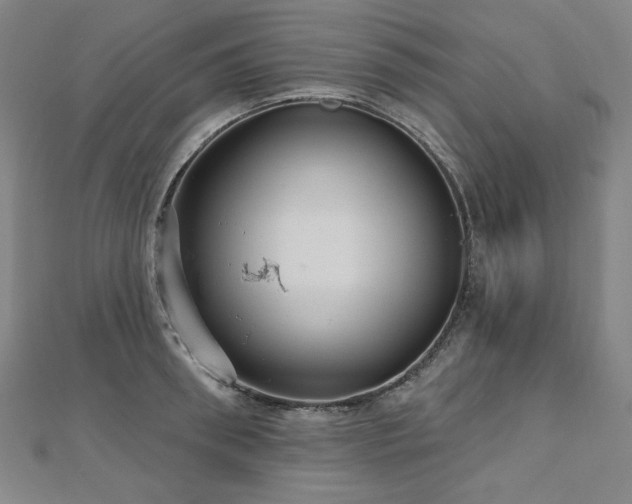 X0000112480898200908171217