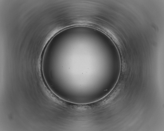X0000112480899200908171217