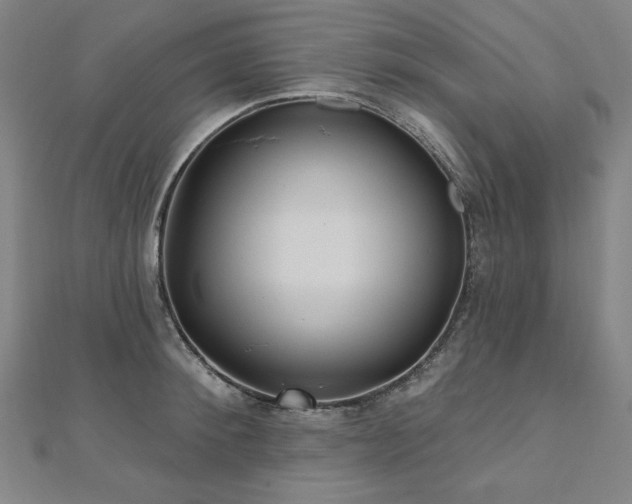 X0000112480900200908171217