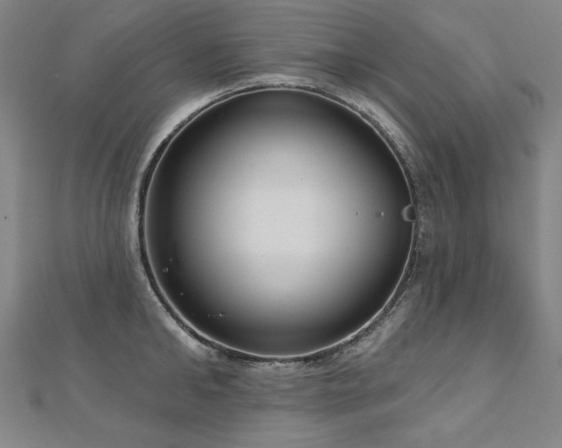 X0000112480902200908171217