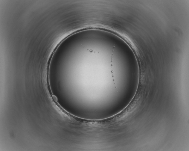 X0000112480903200908171217