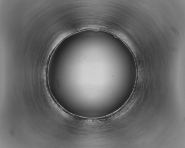X0000112480906200908171217