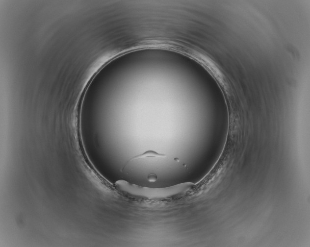 X0000112480907200908171217
