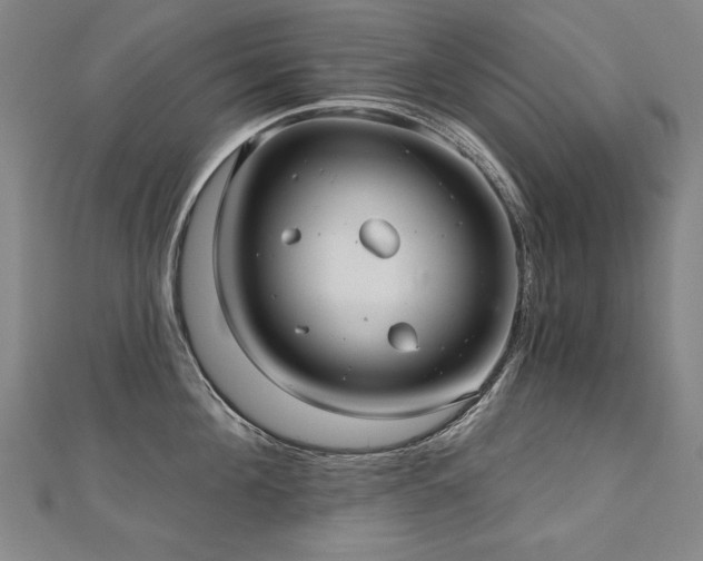 X0000112480908200908171217