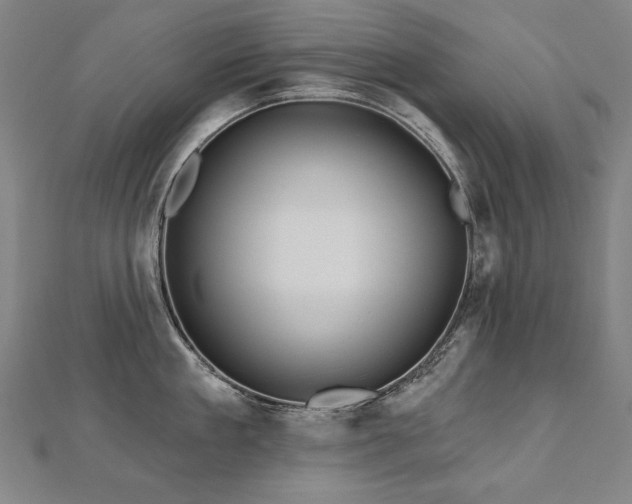 X0000112480909200908171217