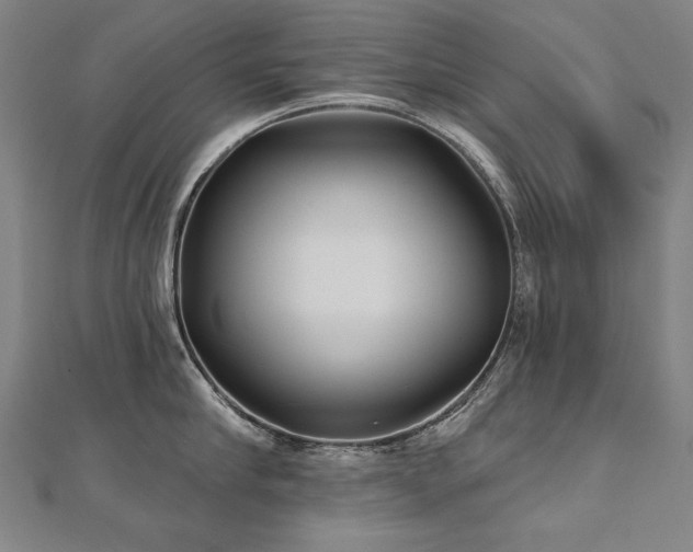 X0000112480910200908171217