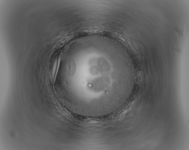 X0000112480913200908171216