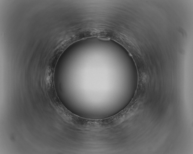 X0000112480914200908171216