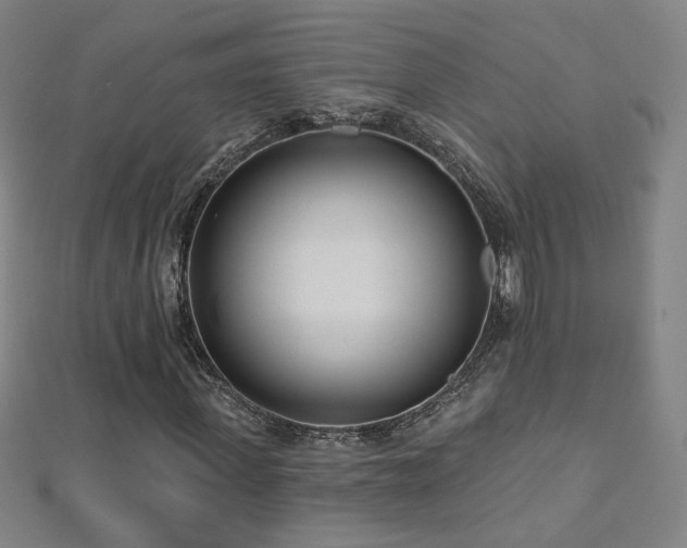 X0000112480915200908171216