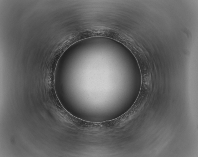 X0000112480916200908171216