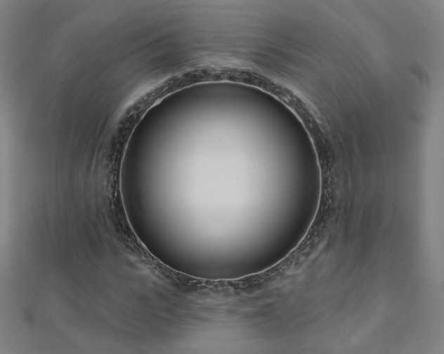 X0000112480919200908171216