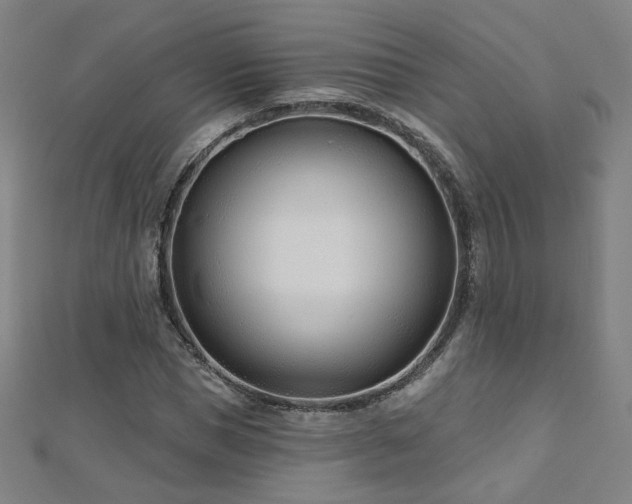 X0000112480921200908171216
