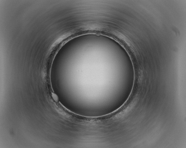 X0000112480922200908171216