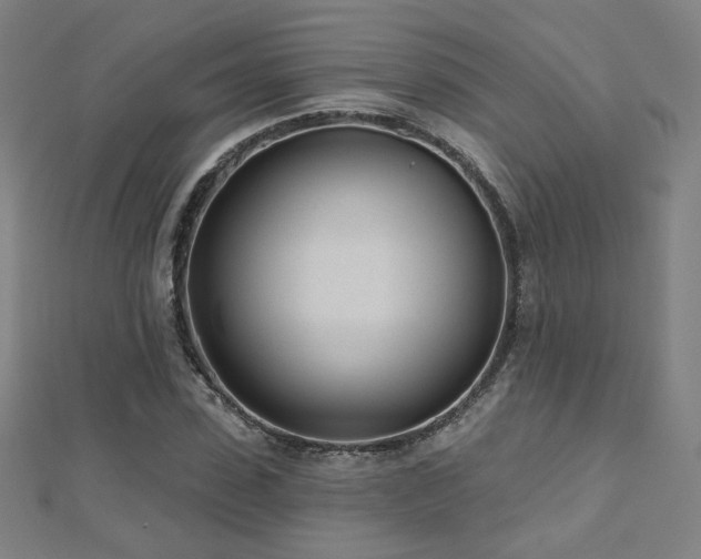 X0000112480923200908171216