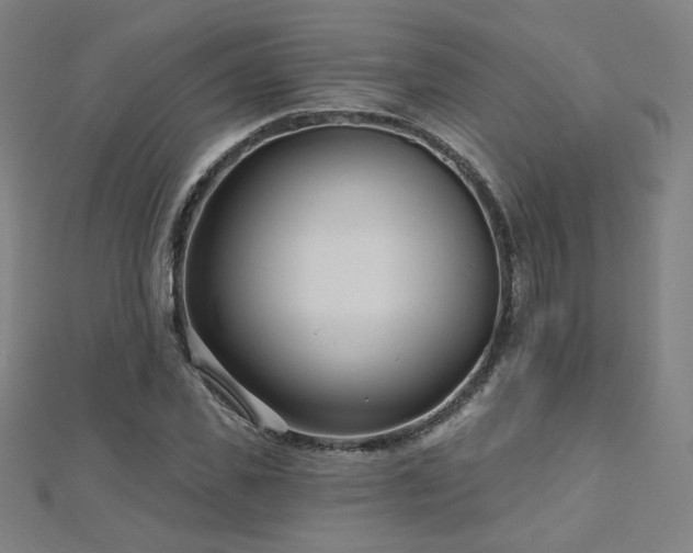 X0000112480925200908171217