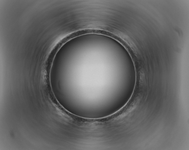 X0000112480926200908171217