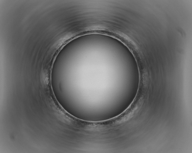 X0000112480929200908171217