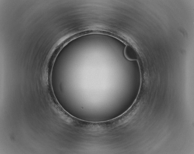 X0000112480931200908171217