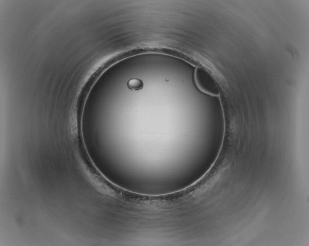X0000112480934200908171217
