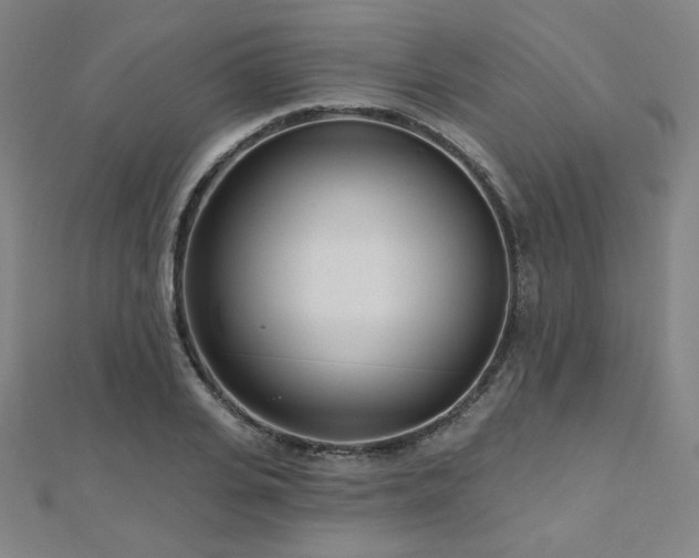 X0000112480935200908171217