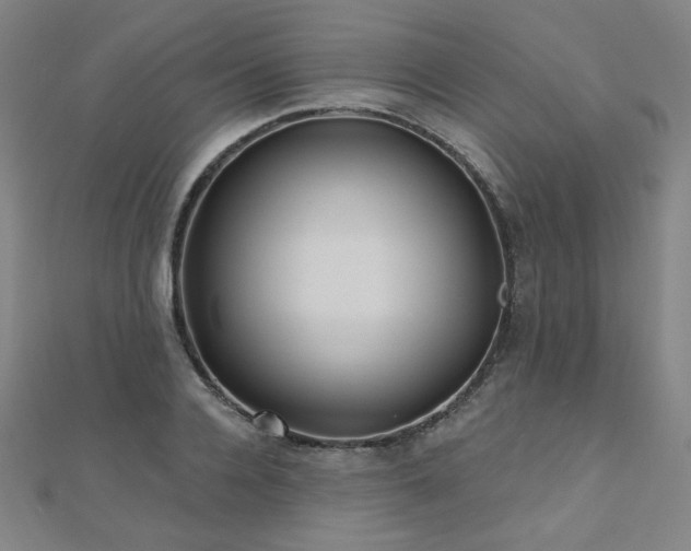 X0000112480936200908171217