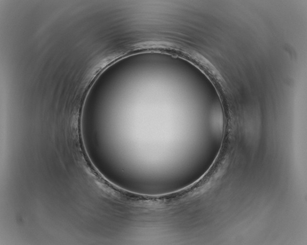 X0000112480937200908171217