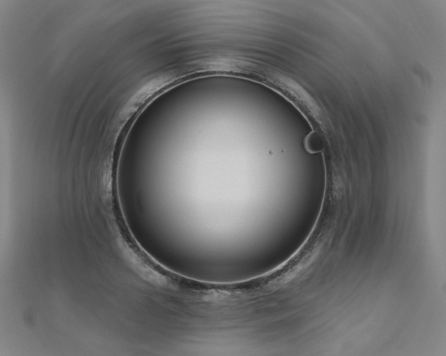 X0000112480938200908171217