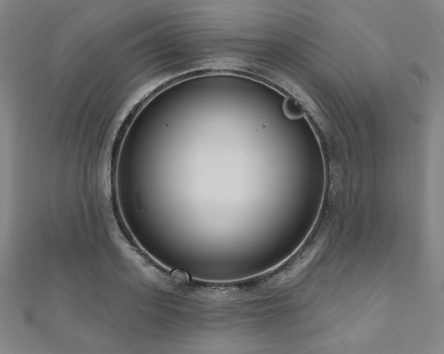 X0000112480939200908171217
