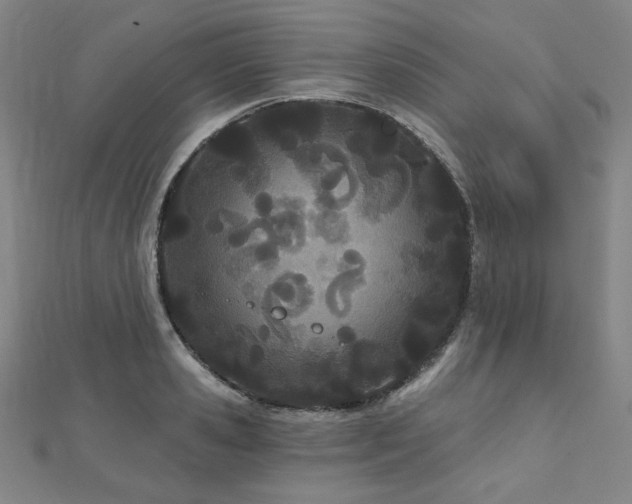 X0000112480941200908171217