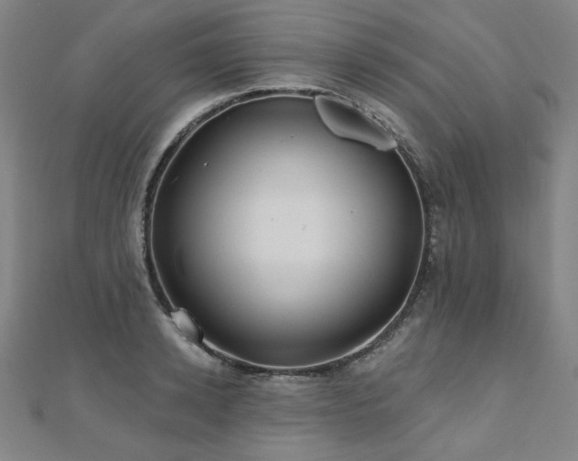 X0000112480942200908171217