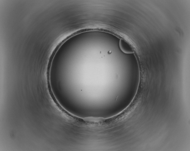 X0000112480943200908171217