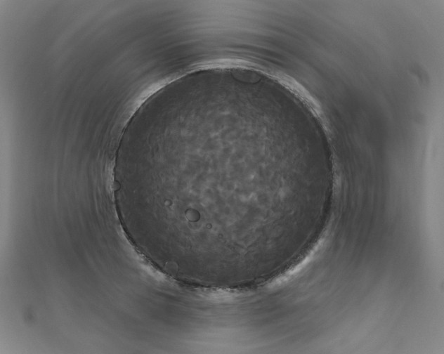 X0000112480945200908171217
