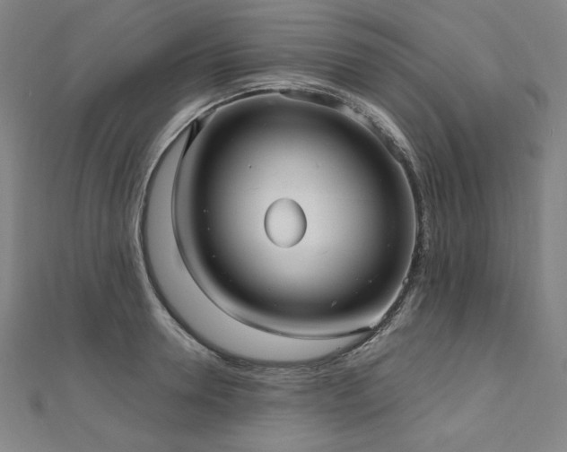X0000112480946200908171217