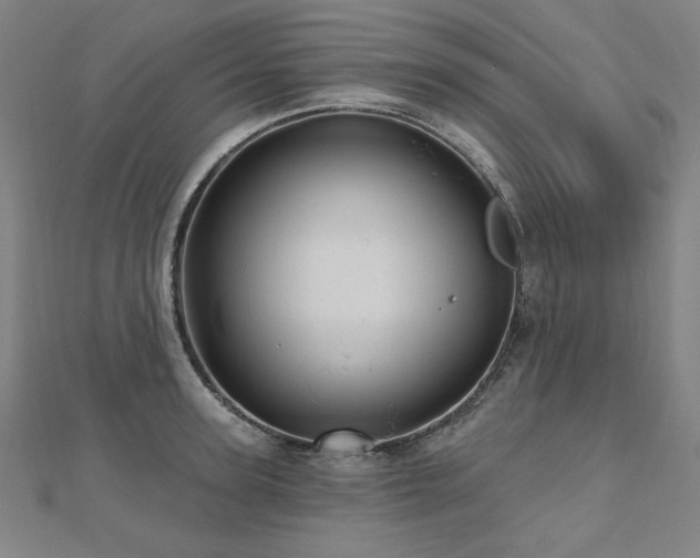X0000112480947200908171217
